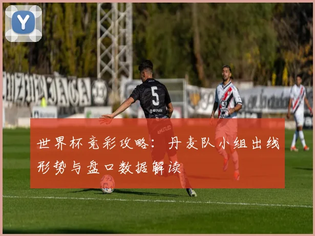 世界杯竞彩攻略：丹麦队小组出线形势与盘口数据解读