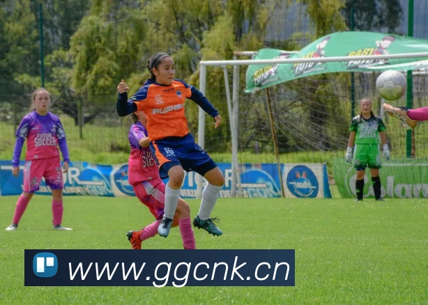 星空电竞官网入口APP 体育赛事宣传图